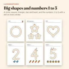 Little Panda's First Pencil Control Book: shapes numbers
