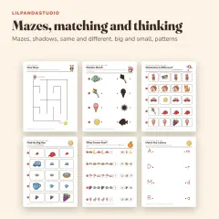 Little Panda's Preschool Skills Activity Book: mazes and matching