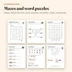 Little Panda's Road Trip Activity Book: mazes and words